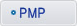 PMP����