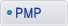 PMP����